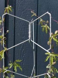 New Arrival -Default Template 3 8599997 0052 tif