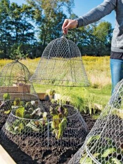 Chicken Wire Cloche With Extension 17 Chicken Wire Cloche With Extension -Default Template 3 8600116 0604 3 4