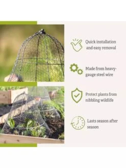 Chicken Wire Cloche With Extension 15 Chicken Wire Cloche With Extension -Default Template 3 8600116 3