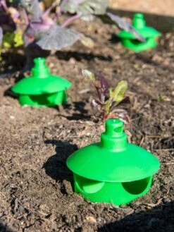 Slug And Snail Traps, Set Of 3 11 Slug And Snail Traps, Set Of 3 -Default Template 3 8600120 1788