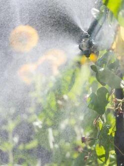 Landscape 4-Way Cooling Mist Kit, 50' 10 Landscape 4-Way Cooling Mist Kit, 50' -Default Template 3 8600154 0695 tif