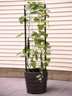 Gardener’s Victory Self-Watering Planter Garden With Vine Trellis -Default Template 3 8600177 9876 tif 1