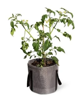 Reinforced Colorful Grow Bags -Default Template 3 8600229 0944 tif