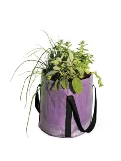 Reinforced Colorful Grow Bags -Default Template 3 8600230 0948 tif
