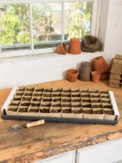 Paper Pots Starter Set -Default Template 3 8600273 18521 tif