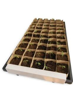 Paper Pots Starter Set -Default Template 3 8600273 18527 tif