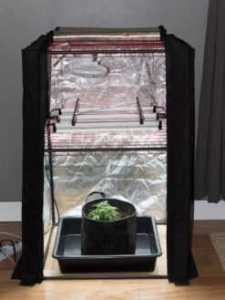 Hemp Grow Kit -Default Template 3 8600301 0590 tif