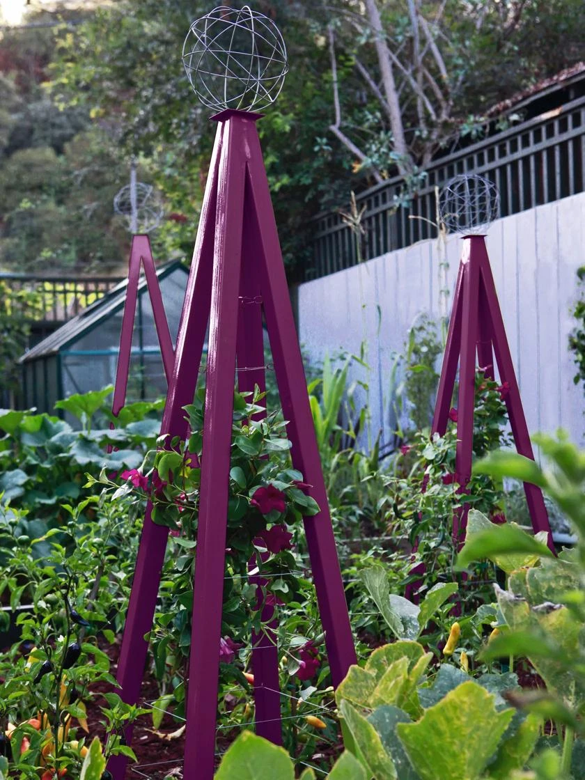 Akoris Garden Tuteur Sr. 1 Akoris Garden Tuteur Sr.