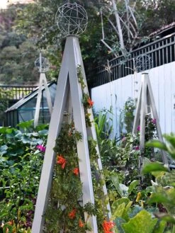 Akoris Garden Tuteur Jr. -Default Template 3 8600517 07V tif