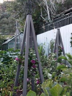 New Arrival -Default Template 3 8600517 08V jpg 1