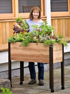 Rolling Patio Garden 8 Rolling Patio Garden -Default Template 3 8608781 01 tif