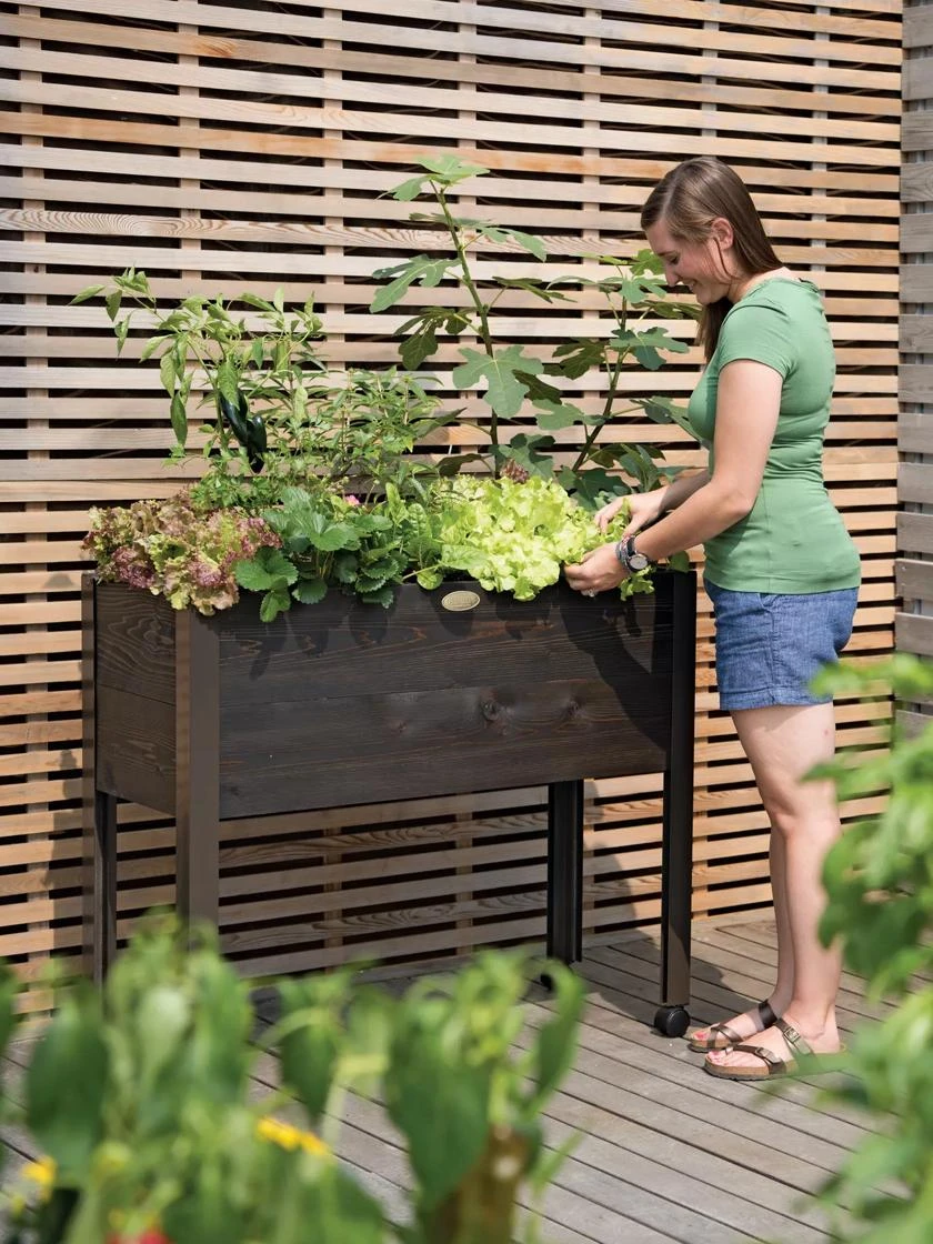 Eco-Stain Rolling Patio Garden 1 Eco-Stain Rolling Patio Garden