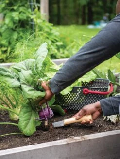 Gardener's Lifetime Hori Hori Knife -Default Template 3 8608888 0422 tif