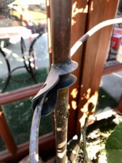 Garden Cane Connects, Set Of 6 6 Garden Cane Connects, Set Of 6 -Default Template 3 8609019 03V tif