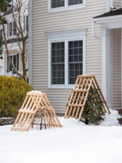 Front Page 67 Cedar Shrub Guard