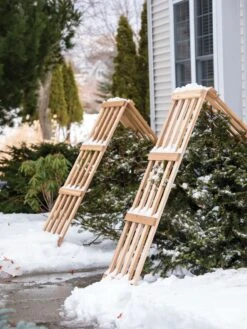 Cedar Shrub Guard -Default Template 3 8609071 3533