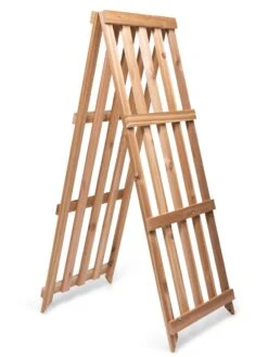 Cedar Shrub Guard -Default Template 3 8609071 5061