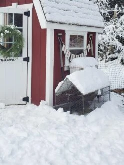 Chicken Wire Crop Coop -Default Template 3 8609080 03IN tif