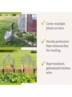 Chicken Wire Crop Coop -Default Template 3 8609080 2