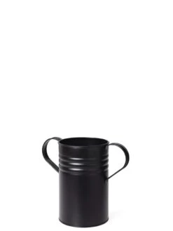 Metal Bucket Planters -Default Template 3 8609086 4805 tif