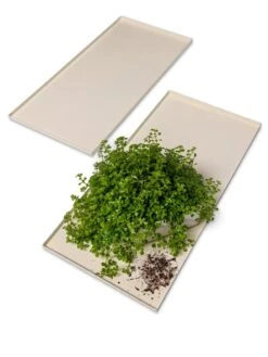 Oslo Grow Light Garden Trays, Set Of 2 -Default Template 3 8609187 7686 tif