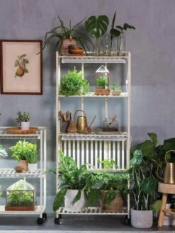 Oslo 4-Tier LED Grow Light Garden 17 Oslo 4-Tier LED Grow Light Garden -Default Template 3 8609188 4118 tif