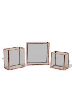 Copper And Glass Terrariums, Set Of 3 5 Copper And Glass Terrariums, Set Of 3 -Default Template 3 8609212 0851 tif