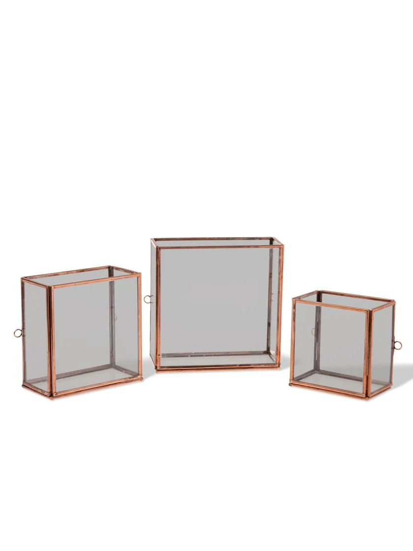 Copper And Glass Terrariums, Set Of 3 3 Copper And Glass Terrariums, Set Of 3 - Image 3