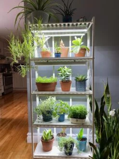 Oslo 4-Tier LED Grow Light Garden 21 Oslo 4-Tier LED Grow Light Garden -Default Template 3 8609220 03IN tif