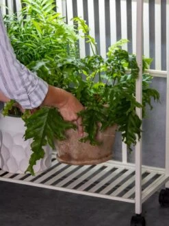 Oslo 2-Tier LED Grow Light Garden, 2 Fixtures -Default Template 3 8609220 4122 tif