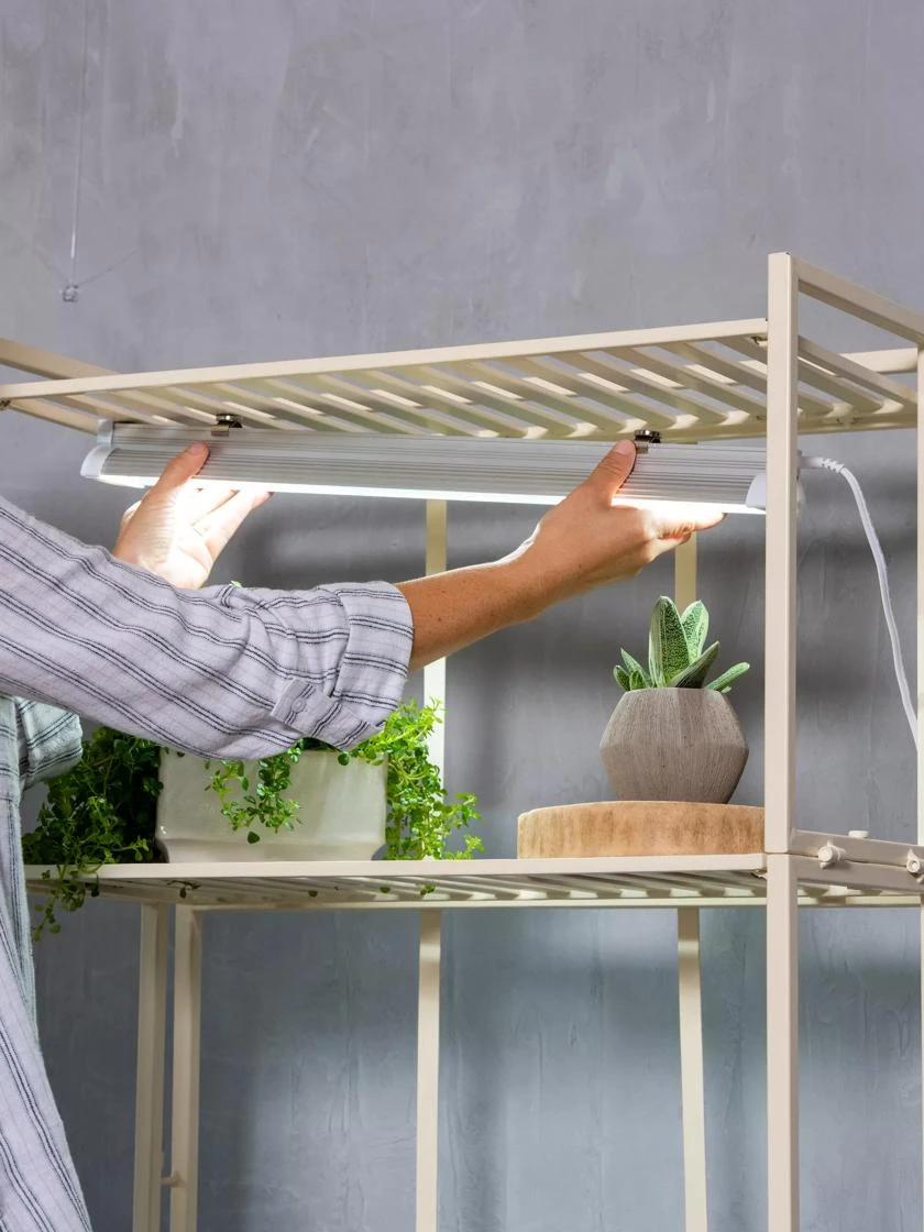 Oslo 4-Tier LED Grow Light Garden 5 Oslo 4-Tier LED Grow Light Garden - Image 5