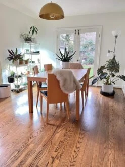 Oslo 2-Tier LED Grow Light Garden, 2 Fixtures -Default Template 3 8609221 01IN tif