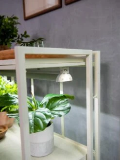 Oslo 2-Tier LED Grow Light Garden, 2 Fixtures -Default Template 3 8609221 4101 tif