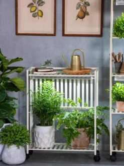 Oslo 2-Tier LED Grow Light Garden, 2 Fixtures -Default Template 3 8609221 7236 tif