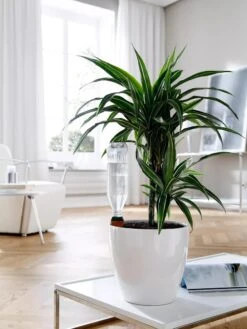 Hydro Wine Container Watering System, Set Of 4 -Default Template 3 8609224 02V tif