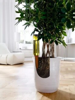 Hydro Wine Container Watering System, Set Of 4 -Default Template 3 8609224 04V tif