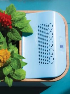 Dewplanter -Default Template 3 8609512 Dewplanter