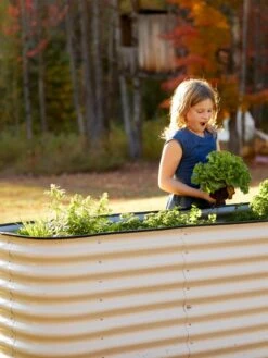 Birdies™ Modular Metal Raised Bed, Tall 10 Birdies™ Modular Metal Raised Bed, Tall -Default Template 3 8610174 5015 tif