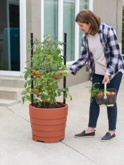 Gardener’s Victory Self-Watering Planter Garden Kit -Default Template 3 8610239 06002 tif