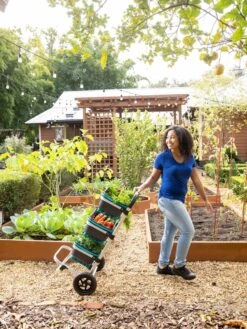 Mod Hod Trolley With Teal Mod Hods -Default Template 3 8610240 0070 tif