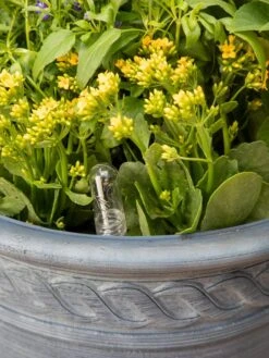 Adjustable Self-Watering Insert For Pots And Planters -Default Template 3 8610250 0010 tif