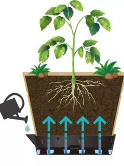 VegTrug® Build-a-Barrel Wooden Planter With Self-Watering Reservoir Tray, 18" -Default Template 3 8610253 05V tif