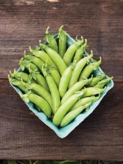 Family Garden Organic Seed Collection, Set Of 7 -Default Template 3 8610262 cascadia peas 01V tif