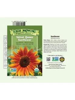 Velvet Queen Sunflower Organic Seeds -Default Template 3 8610362 01v
