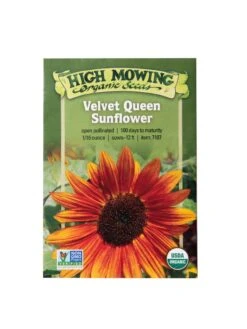 Velvet Queen Sunflower Organic Seeds