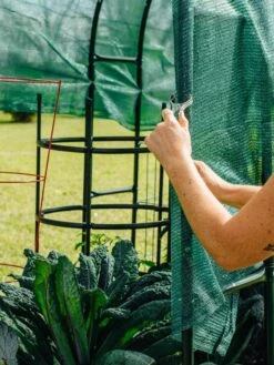 Maxi Garden Hoops With Clips -Default Template 3 8610372 368 tif