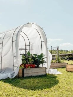 Maxi Garden Quilt -Default Template 3 8610373 373 tif