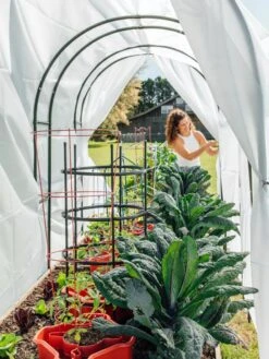 Maxi Garden Hoops With Clips -Default Template 3 8610373 377 tif