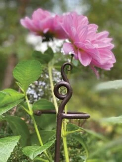 New Arrival -Default Template 3 8610375 5701 tif