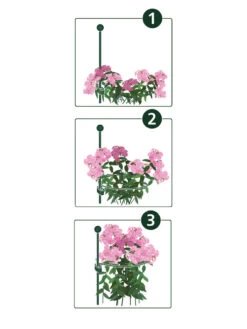 New Arrival -Default Template 3 8610383 07v